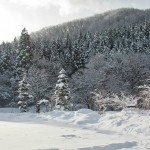 japan_snow_16