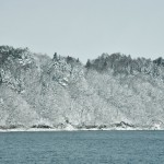 japan_snow_30