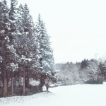 japan_snow_34