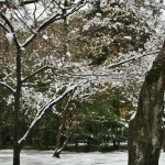 japan_kinkaku-ji_snow_2014_04