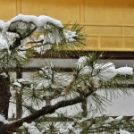 japan_kinkaku-ji_snow_2014_24