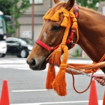 japan_aoi_matsuri_013