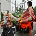 japan_aoi_matsuri_105